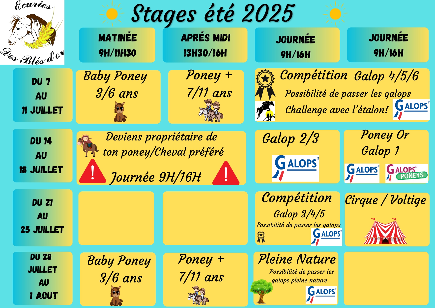 Stages d'été