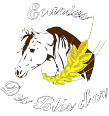 Les écuries des blés d'Or